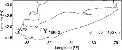 Biotic and Abiotic Mechanisms of Manganese (II) Oxidation in Lake Erie